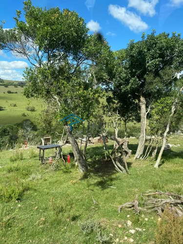 Hermosa Chacra Con Arrollo Y 2 Tajamares Pueblo Edén