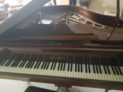 Imagen 5 de 5 de Piano Blüthner 1/4 De Cola