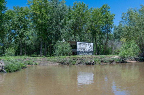 Imagen 7 de 13 de Venta - Lote - Terreno - Isla Del Caraguata - Islas Del Delta - Tigre