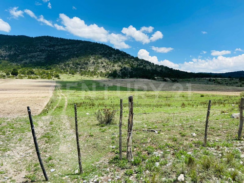 Se Vende Terreno En Huachichil En Arteaga Coahuila