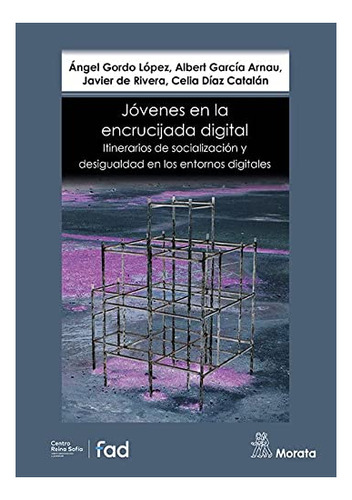 Libro Jovenes En La Encrucijada Digital  De Gordo Lopez Ange