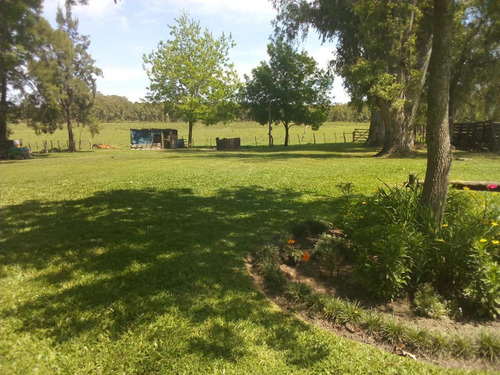 Imagen 7 de 7 de Campo - Uruguay