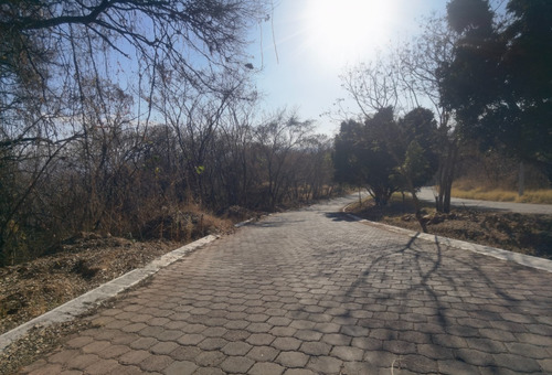 Venta Lote San Diego 54 Mz Xvi Muy Cerca De La Entrada Y De Las Amenidades Del Fracc Rancho San Diego Ixtapan De La Sal Edomex