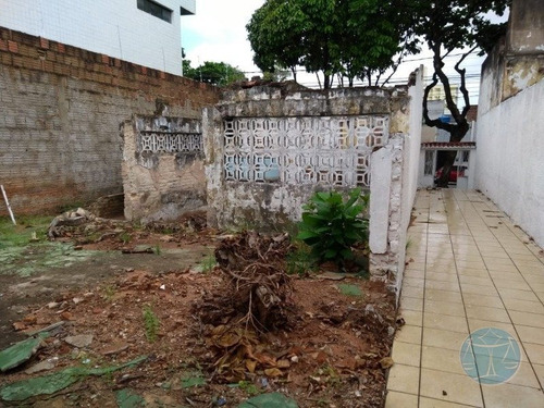 Imagem 3 de 8 de Terreno Na Rua Apodi - V-10679