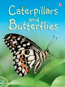 Caterpillars And Butterflies - Usborne Beginners Kel Edici*-