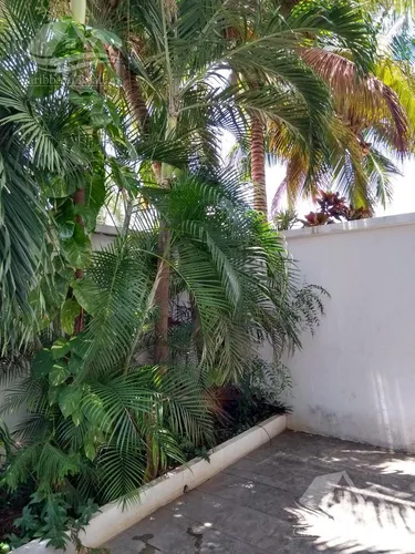 Casa En Venta En Cancun Centro