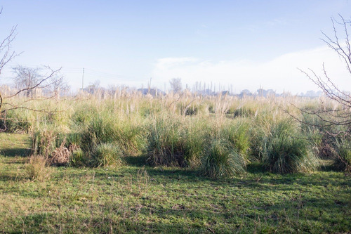 Campo En Venta En Pilar. Zona Champagnat
