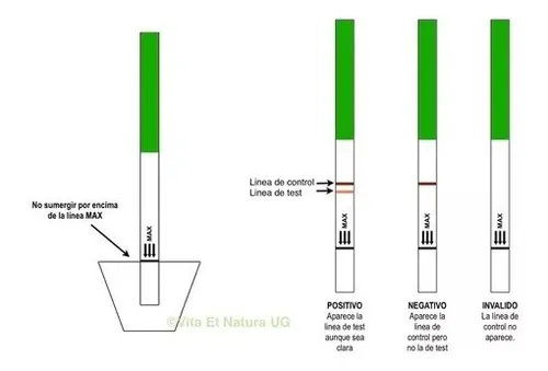 Test de embarazo gratuito sale