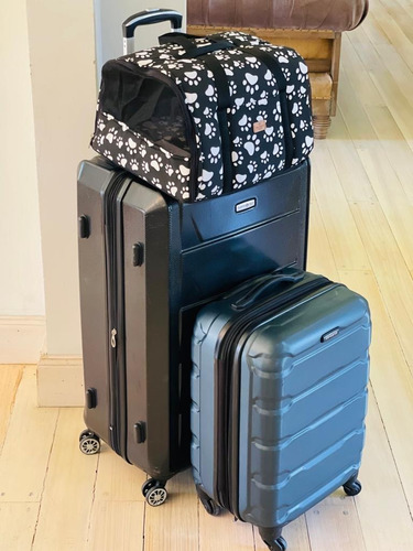 Imagen 9 de 9 de Bolso Transportador Perro/gato Para Aerolínea Lan Y Jet