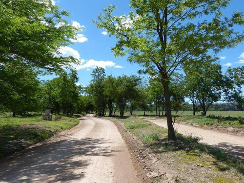 Imagen 4 de 15 de Lote 193 En Venta,. Barrio Santa Ines, Comarcas De Lujan