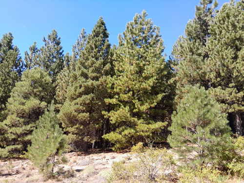 Terreno En El Desafio Mountain Resort, San Martin De Los Andes