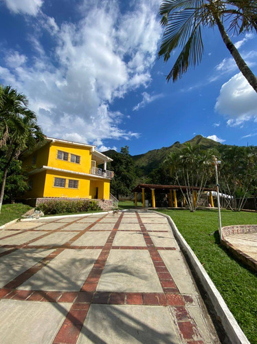 Venta De Quinta En Las Morochas. San Diego 15000 M2. G.g