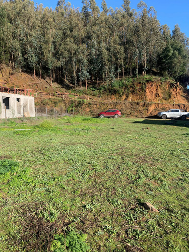 Reserva De Mitrinhue, 815 Metros Planos