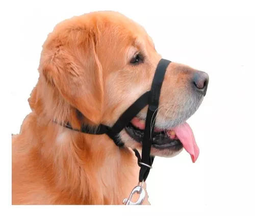 Halti Arnés de Adiestramiento Antitirones para perros