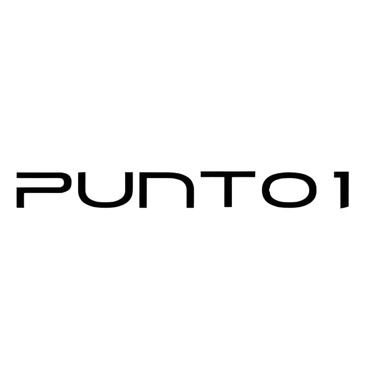 PUNTO UNO 