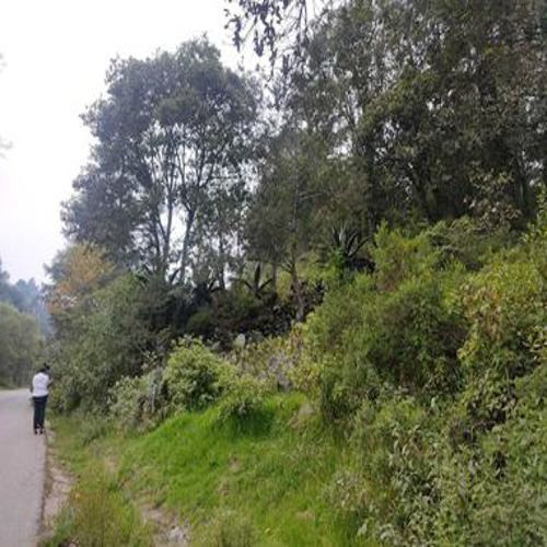 Excelente Terreno En Sta. Rosalia , Mineral Del Monte