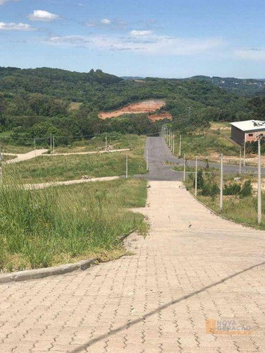 Imagem 6 de 11 de Terreno À Venda, 394 M² Por R$ 200.000,00 - Mariland - Caxias Do Sul/rs - Te0254