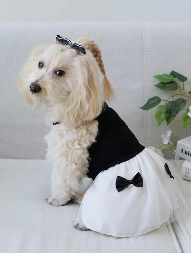 Vestido Ropa Para Mascotas Perros