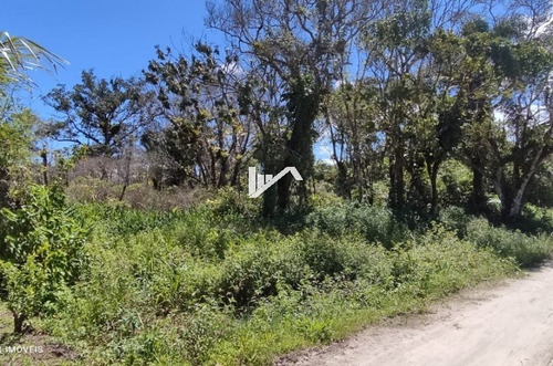 Imagem 3 de 5 de Terreno De Chácara No Chácara Gloria, Em Itanhaém Ch096