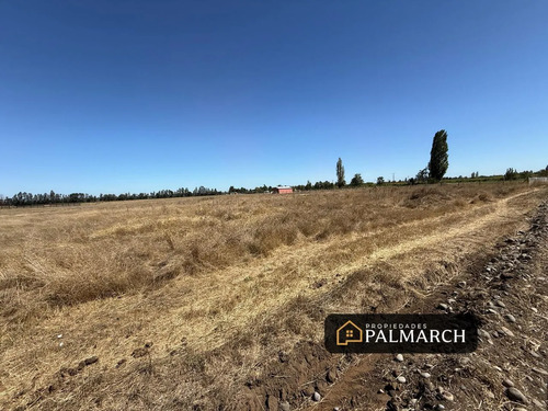 Parcelas En Venta 5000m2 Camino A Cato Chillán
