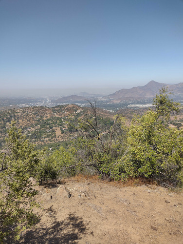 El Arrayan (94131)