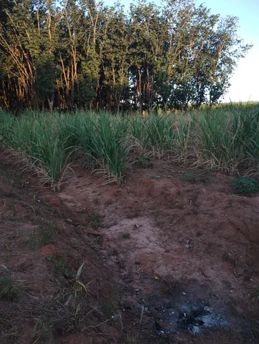 Propriedade Rural