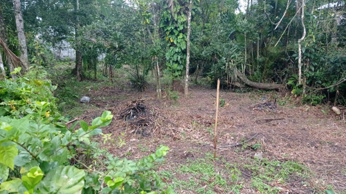 Otimo Terreno 500m2 Na Praia Do Guarau, Na Reserva Ecologica Da Jureia Itatins Em Peruibe