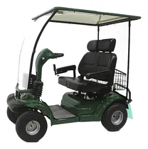 Comprar Carro Electrico Golf Con Techo Para 2 Personas