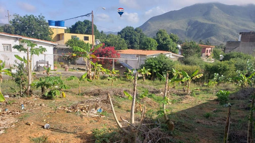 Re/max 2mil Vende Terreno En Caserío Espinoza, Atamo Sur, Mun. Arismendi, Isla De Margarita, Edo. Nueva Esparta