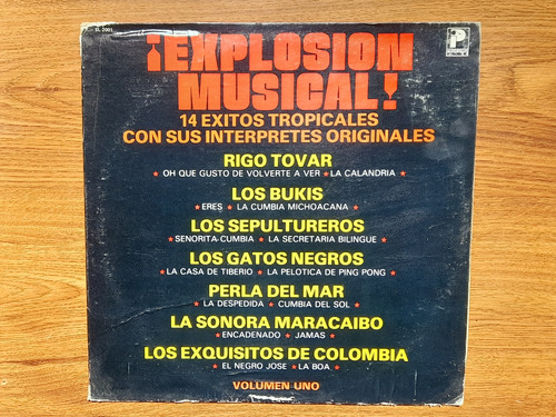 ¡explosión Musical! 14 Éxitos Tropicales. Disco Lp Profono