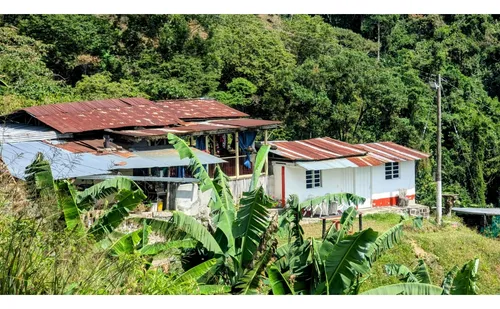 Venta Finca Cordoba - 3.5 Hectareas