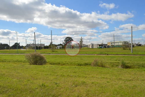 Imagen 11 de 30 de Terreno Lote En Venta Ubicado En Manuel B Gonnet, La Plata