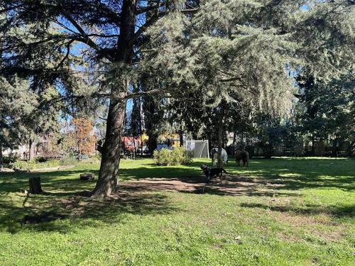 Imagen 21 de 30 de Venta Quinta Sobre 11.000 M2 Ideal Instituciones / Clubes - Trujui - Moreno