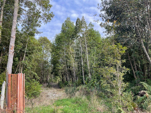 Parcela 5.750 M² Con Bosque Nativo, Cerca De Puerto Varas