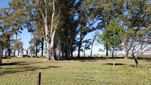 Imagen 3 de 9 de Terreno En Venta Entre Ríos