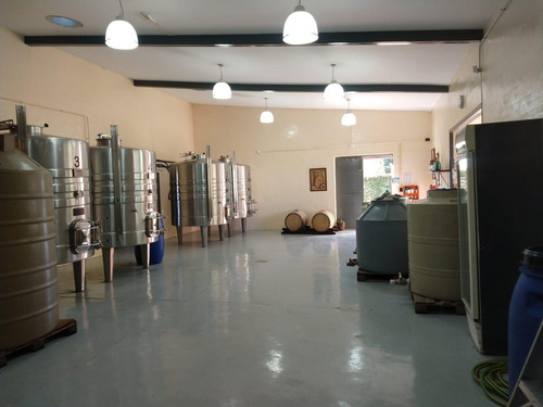 Bodega En Venta - 9 Dormitorios 4 Baños - Cocheras - 85.039mts2 - San Rafael, Mendoza