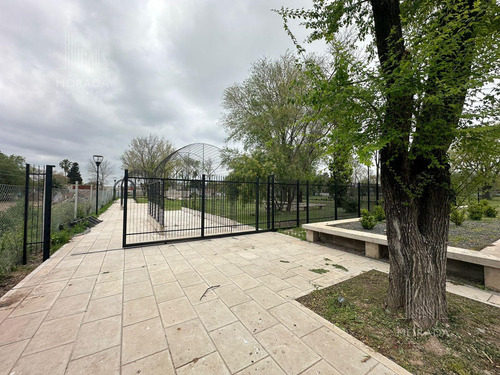 Venta Lote Financiación Avenida Olivos Y Panamericana Excelente Ubicación !!!