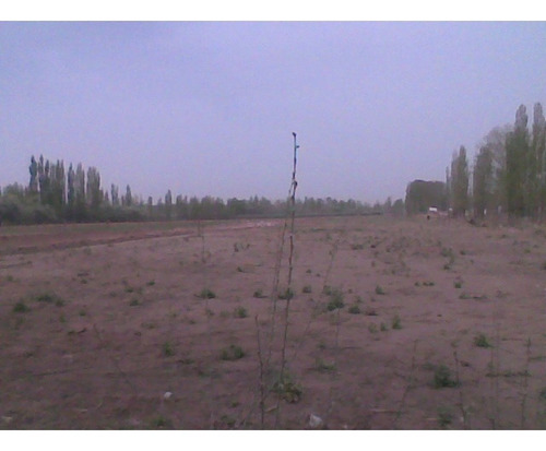 Imagen 6 de 15 de Terreno En Malargue Mendoza!