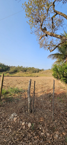 Sitio A 400m Do Asfalto Trevo De Piraúba Mg Excelente Local