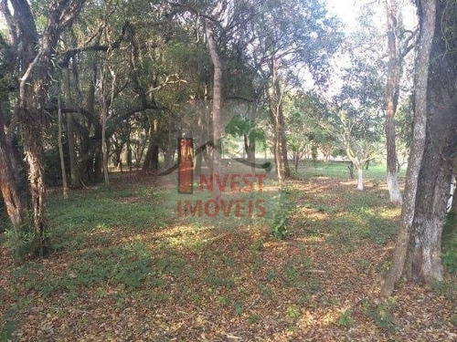 Imagem 3 de 7 de Terreno - Ref: 4996 - V-4996
