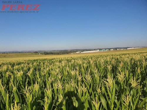 Imagem 9 de 24 de Chácaras_sítios_fazendas Para Venda - 13650.8047