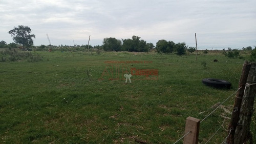Imagen 11 de 11 de Venta, De Importante Fracción De Campo Sobre Ruta Prov. 54, Partido De Magdalena.