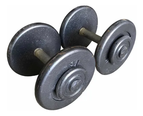 2 Mancuernas Discos Fijos Fitness 12kg 26lb Usadas Oxido | MercadoLibre