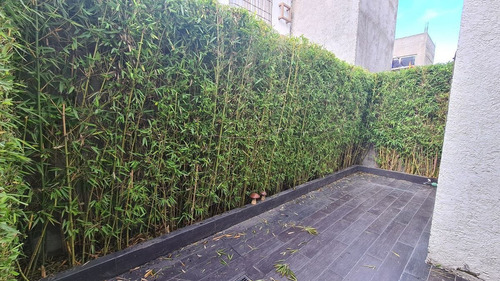Imagen 8 de 28 de Casa En Venta Bosques De Cantabria