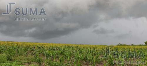 Rancho En Venta En González, Tamaulipas.