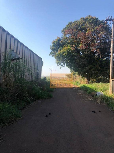 Imagem 6 de 24 de Área Para Alugar, 58600 M² Por R$ 170.000,00/mês - Betel - Paulínia/sp - Ar0036