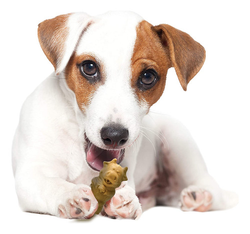Chew Treats Nylabone, Comestibles Saludables Para Cachorros,