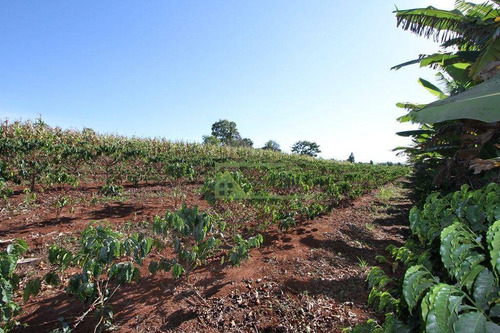 Imagem 17 de 30 de Sítio Com 4 Dormitórios À Venda, 35000 M² Por R$ 750.000,00 - Itaí - Itaí/sp - Si0090