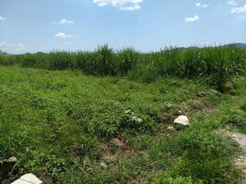 Venta De Terreno $7099,000.00