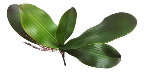 3 Hoja De Orquídea Artificial -17 Cm